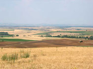 la risoluzione
